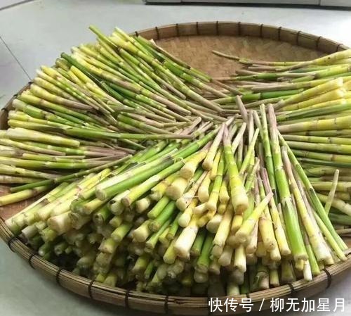 来到湖南娄底,怎能不尝尝这5种特产美食,作为娄底人,你吃过吗