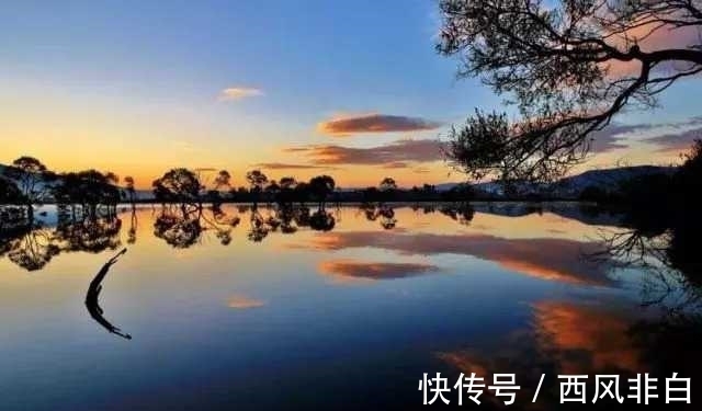 龚自珍|清代诗僧的一首五律,“春潭浴乱星”,充满想象,又相映成趣