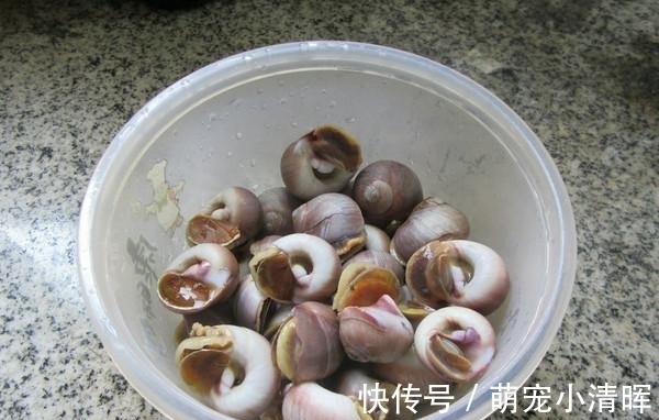 海鲜|被“误解”最深的美食，它全身是宝，比甲鱼营养，6元1斤没人买