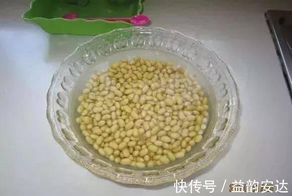 家里的塑料油桶别扔，有3个“妙用”，种菜效率高，扦插生根快