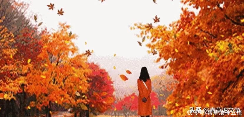 苇海|青草地文学：秋夜情歌