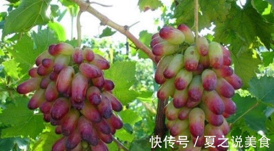 养生|超市最常见的三种食物，美容养生、延缓衰老，好吃又不贵！