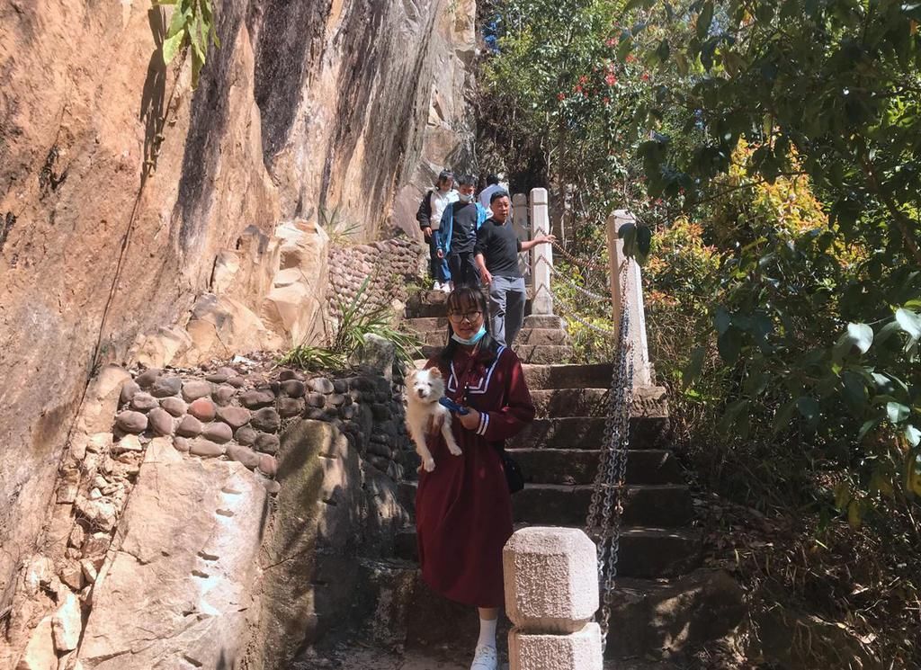 振太镇：高速通到家门口 乡村旅游更红火