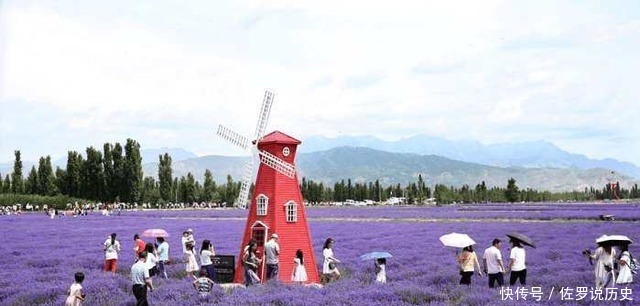 放眼望去|新疆伊犁这个地方盛产薰衣草, 被誉为中国的“普罗旺斯”