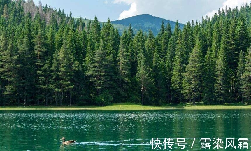 雄浑#北宋诗人王令一首《大松》,松树形象大气磅礴,青春之志令人赞扬