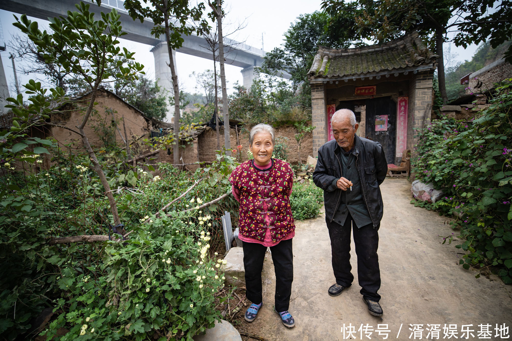 奇特植物落户7旬夫妇门口，颜色鲜艳像草又像花，谁知道它叫什么