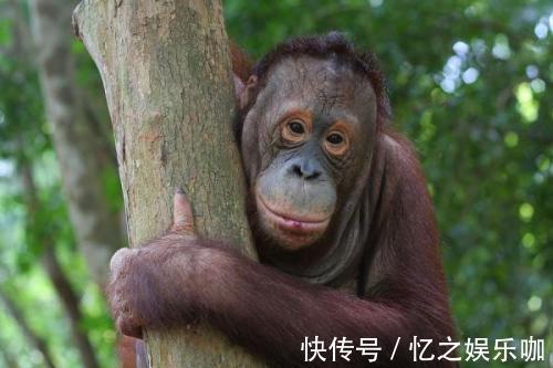 |开心笑话：表妹误入了传销，她父母还没来的及报警，就自己回来了