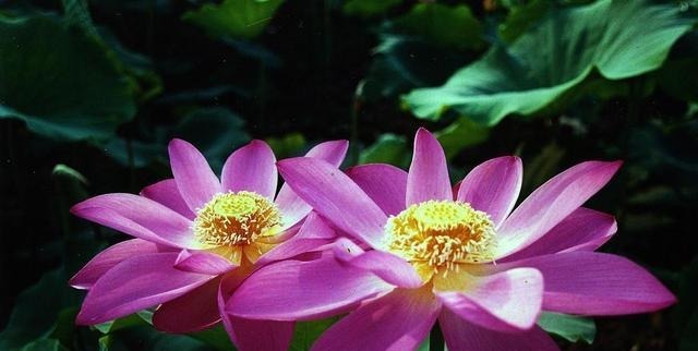 入世|老子生平(一)出世与入世