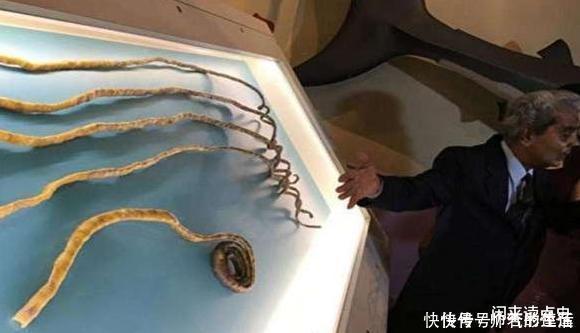 左手|老人用44年时间蓄留指甲,一朝剪掉后,不料手指却发生了新变化