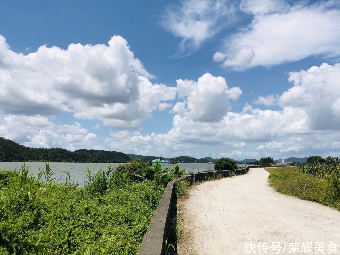 姜棗茶|夏天要懂得吃姜，這一杯姜棗茶真的不能錯(cuò)過(guò)，可以一直喝到秋天前