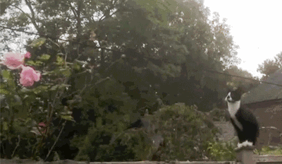 |搞笑GIF段子：美女的舌头很灵活嘛