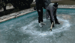 |搞笑GIF段子:这闹婚的太过分了,好好地进门不行,非要翻墙是不是不妥啊