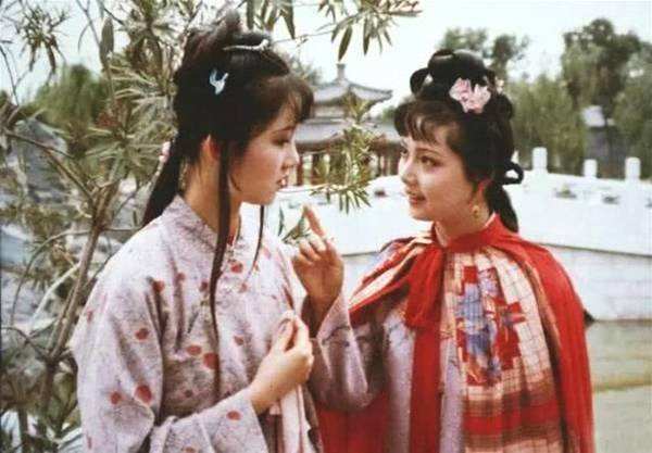 袭人#薛宝钗怀了贾宝玉的种,可她却早给宝玉生了大儿子