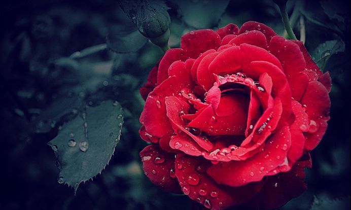 幸福的味道|未来一周,吉兆频现,事业有成,运势重新洗牌,非富即贵的3星座