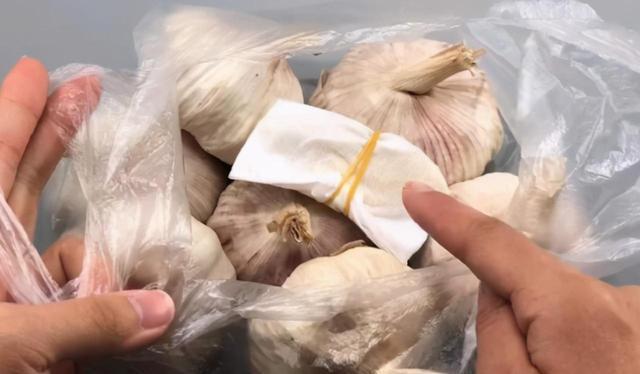 发芽|保存大蒜原来如此简单,牢记1招,大蒜放一年都不长芽不干瘪!