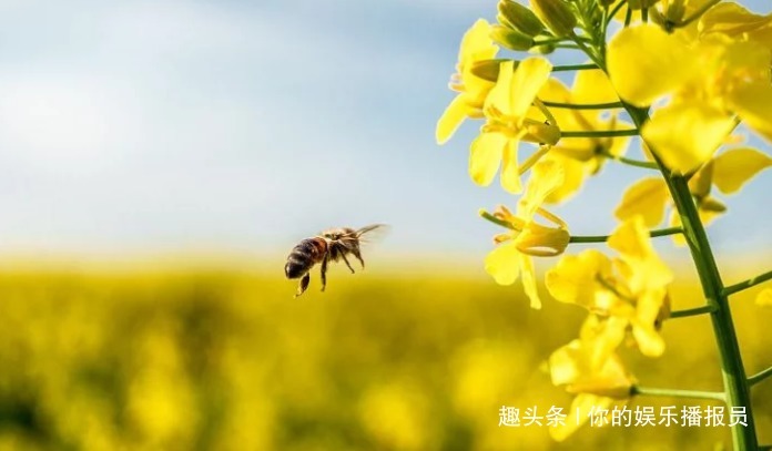 家庭地位|婚后能管住老公的3生肖女，家庭地位高，越管老公越有钱