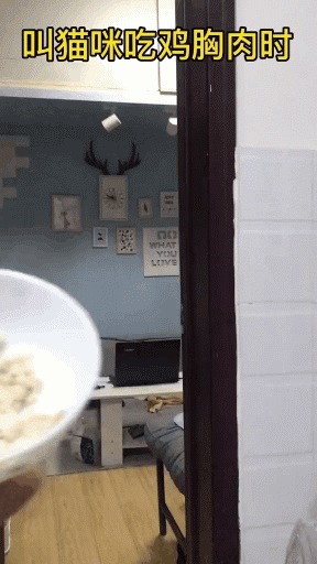 |搞笑GIF:当她转身的那一刻,我手里的板儿砖已经不淡定了。