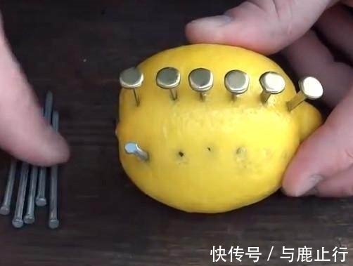 柠檬酸|男子将柠檬上插满钢钉,没想到接下来发生的事情让众人傻眼