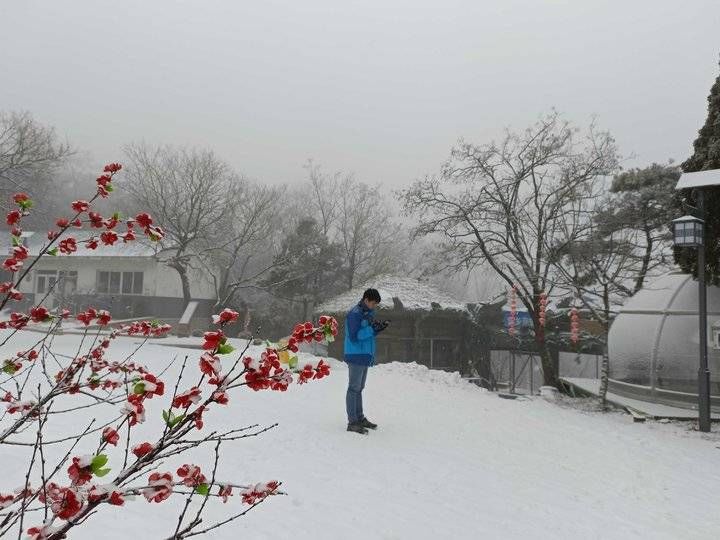 第一场雪|2022第一场雪，齐鲁雪乡腊八节诠释济南的冬天