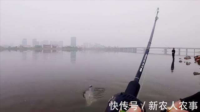 漩门湾|45斤的米级“鲈鱼王”，浙江男子海钓收获大鱼，老钓鱼人也没见过