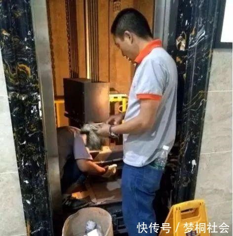 楼层|电梯房选高层好不好?真实体验过,真不是那么回事