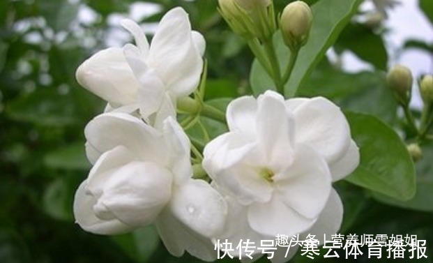 胆经|春分过后,为了健康,少吃一味,坚持二勤,养好三处,牢记四忌