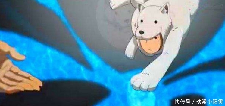 强大|一拳超人中,警犬侠为何活动范围仅在Q市?我们来一波大胆的猜测