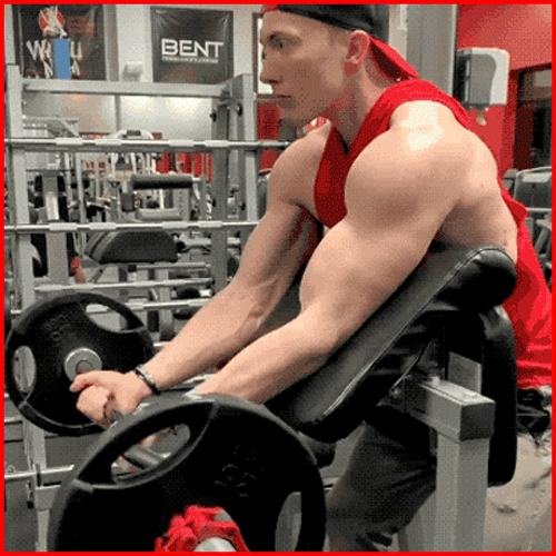 蝴蝶机|健身房训练时间话长短