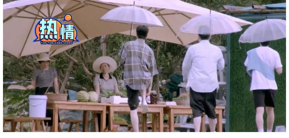 机智|是节目组的安排？钱枫被惊讶到机智化解尴尬，一博的样子好可爱