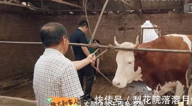 爸爸|魏大勛跟爸爸回農村，滿地都是牛糞，魏大勛的反應亮了！