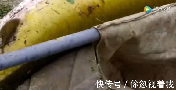 男子钓到200斤大鱼,众人帮忙捞上岸,看着让人羡慕