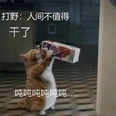 引燃|假如你的LOL英雄没有技能，却有六个召唤师技能，你会怎么玩