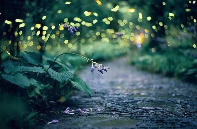 一屋两人三餐四季，就想和你过这样的小日子