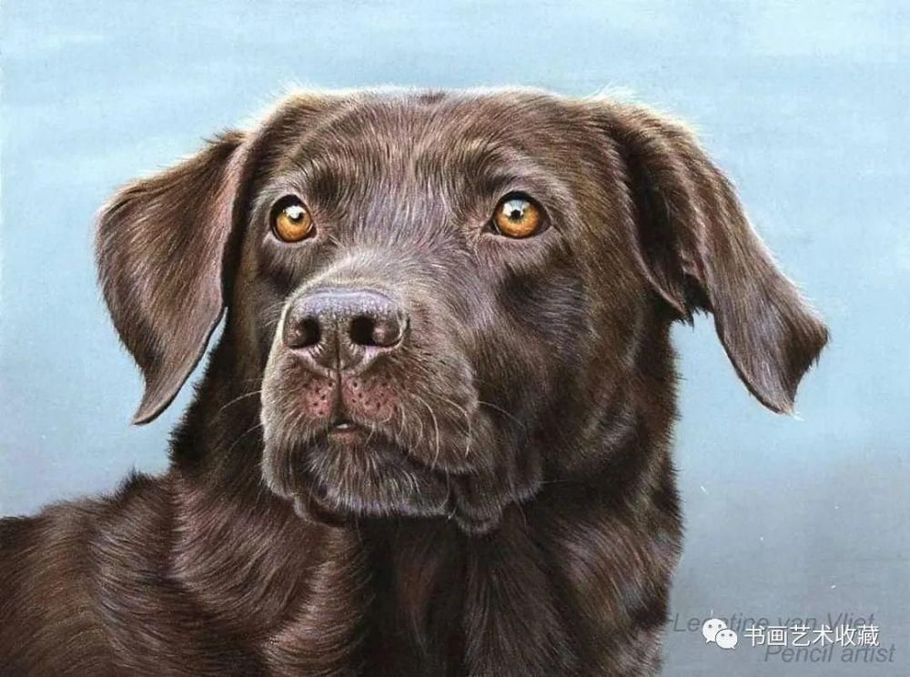  美女|一匹马画了16年！美女学渣逆袭成功，坚持下来很酷！