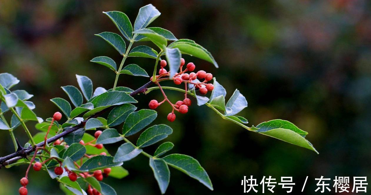 养花|用这3个小妙招养花，不谨慎小心点，真的会出错