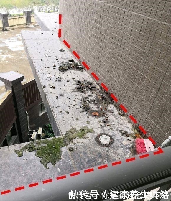 养花|高层腰线拿来养花邻居理直气壮出了公摊,我家的为啥不能用!