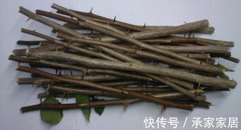 泥炭土|扦插三角梅,该怎么获取成功?抓住3点,枝条轻松变成小花苗