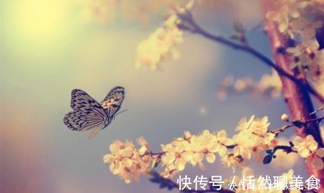 相思枫叶丹|李煜一首深藏不露的词,全文无一怨字,却写出了痴情人最深的怨念