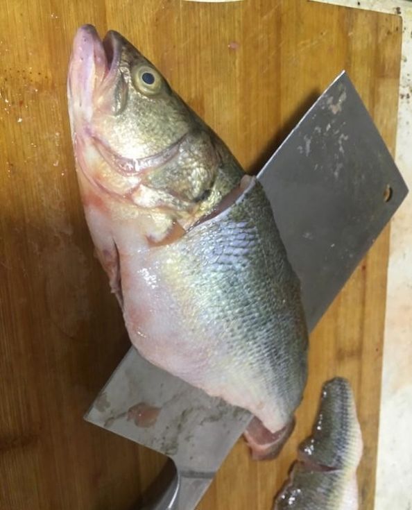 鱼腥最怕这个, 倒一杯鱼马上没了鱼腥味, 且鱼肉更鲜更嫩!