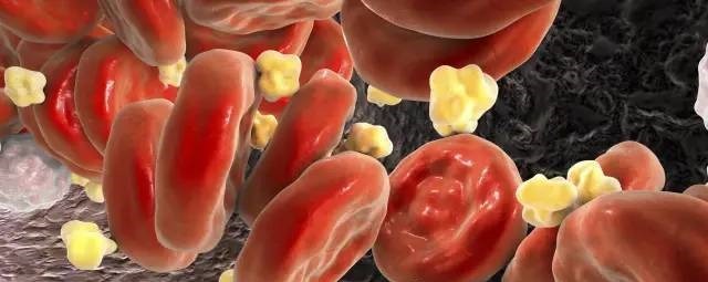 毛细血管|人到中年,血液越来越黏稠,用此叶子泡水喝防血栓,高血压绕路走