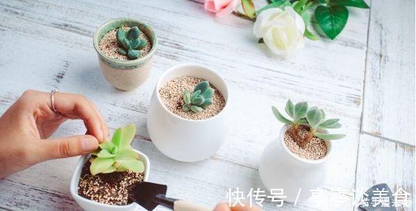 腐植酸|养花换下的土壤这样操作,就能无限循环