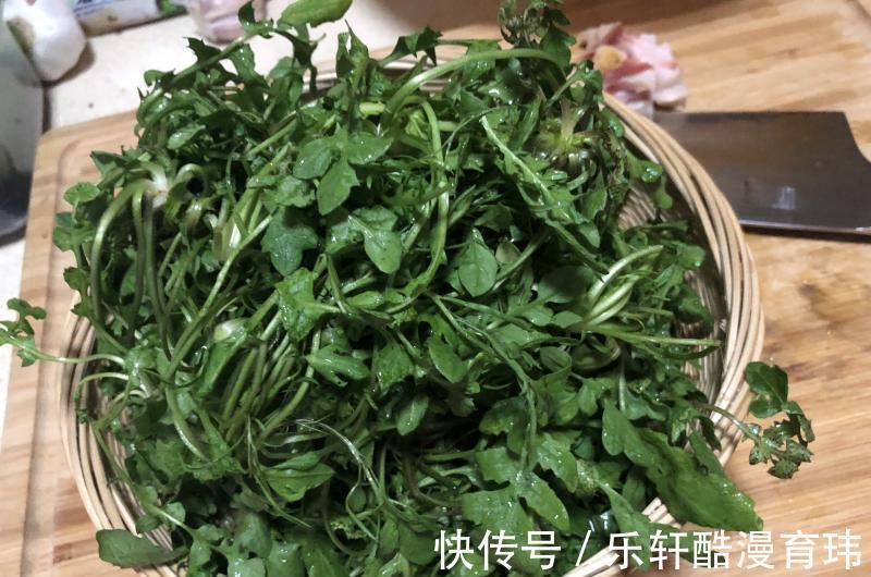 它是天然的“护眼菜”，学生娃要多吃，视力好了，双眼明亮了