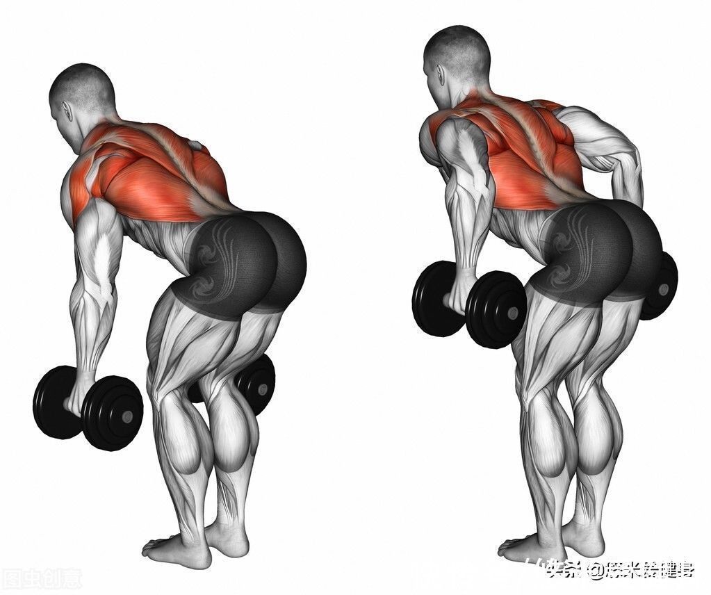 厚度|想要增加背阔肌厚度,多做这3个动作,更有效提升练背效果