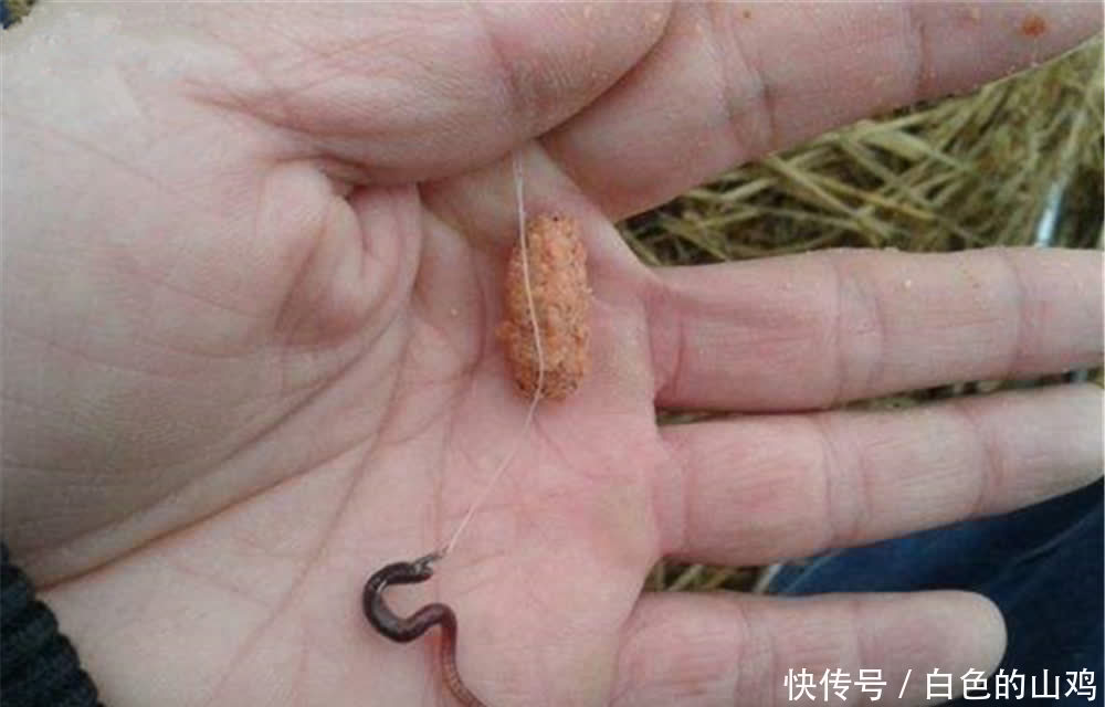 春季浅水有大鲫,钓浅水用这种调漂方法,漂相很清晰,中鱼率高!