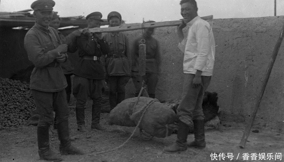 苏德|苏德战争初期，纳粹德国打胜了那么多场战役，因为它才元气大伤