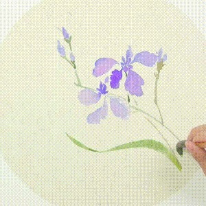 示范&用没骨技法画胡萝卜和鸢尾花,这样的示范案例领你入门