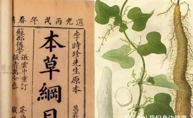 食物|这7种养脾胃的食物：任何脾胃不舒服，照着吃就对了！