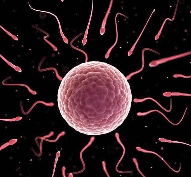 偷着乐|怀孕一个月有感觉吗若你有这3种感觉,偷着乐吧,多半是怀上了