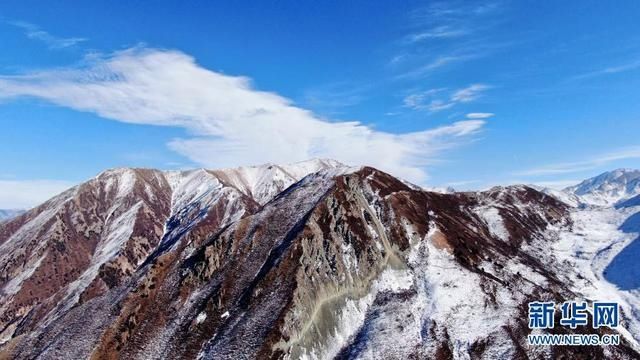 冬日|雪山、草原、牦牛……冬日祁连美如画