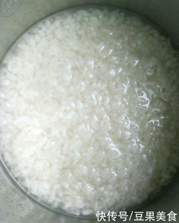 酸奶机|餐厅必点的米酒~醪糟~，在家也能做